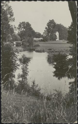 Le moulin du Guy, au bord de la Sèvre (les ponts de Sèvre, vues 2-3, la chaussée, vue 5) / Yan.Ick phot. (vue 1).
